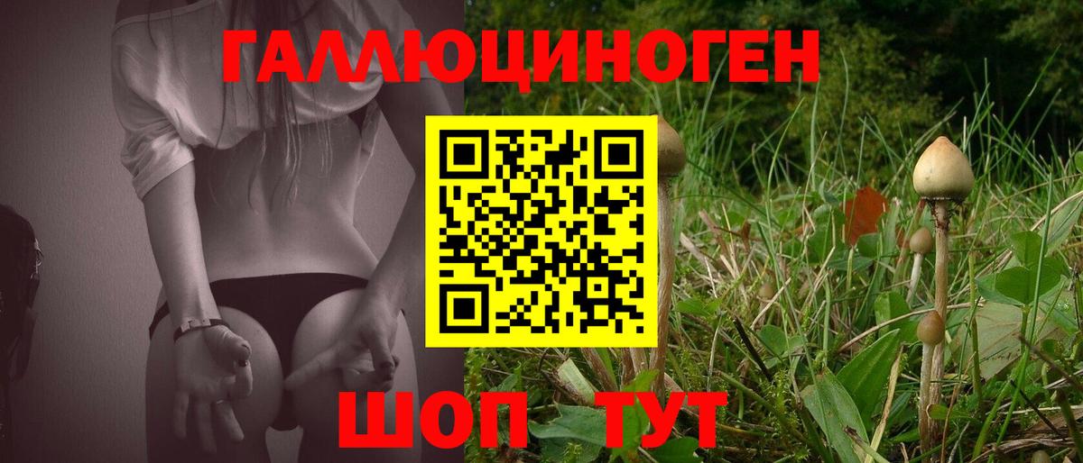 Псилоцибиновые грибы ЛСД Печора
